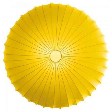 Product Image-8