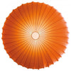Product Image-5