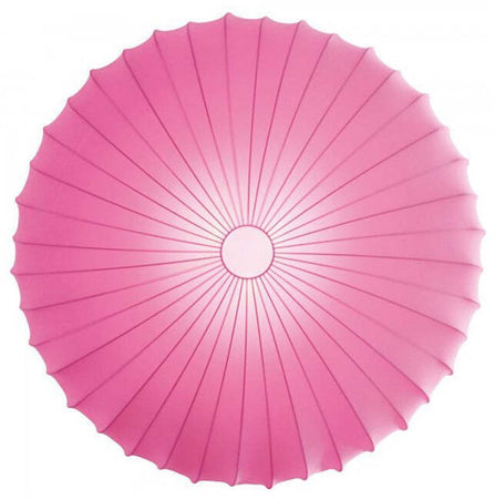 Product Image-6