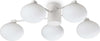 Plafoniera-Contemporanea-Hermes-Metallo-Bianco-5-Luci-G9-28W-3000K-Ip20