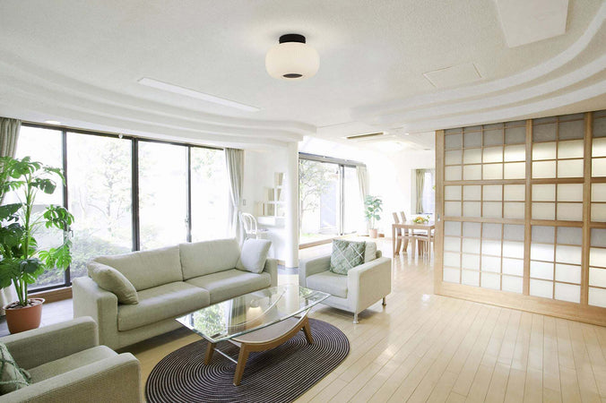 Plafoniera-Contemporanea-Lumina-Acciaio-Bianco-Vetro-Nero-1-Luce-E27