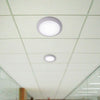 PLAFONIERA FUMAGALLI UMBERTA GRIGIO OPALE 2 PORTALAMPADE E27 | 1B3000000LYE28 Illuminazione/Illuminazione per esterni/Lampade da parete Zencoccostore - Formia, Commerciovirtuoso.it