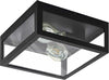 Plafoniera-Industrial-Amezola-2-Luci-Metallo-Nero