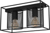 Plafoniera-Industrial-Catterick-2-Luci-Acciaio-Nero