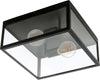 Plafoniera-Industrial-Charterhouse-2-Luci-Acciaio-Nero