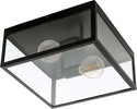 Plafoniera-Industrial-Charterhouse-2-Luci-Acciaio-Nero