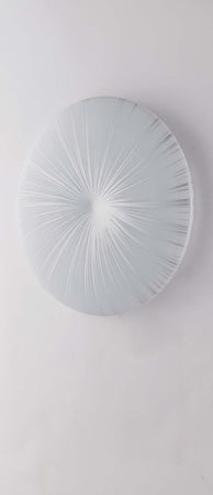 Plafoniera Led Agora 18W 1815Lm Cct 30Cm Illuminazione/Illuminazione per interni/Lampadari lampade a sospensione e plafoniere/Plafoniere Led Mall Home - Napoli, Commerciovirtuoso.it