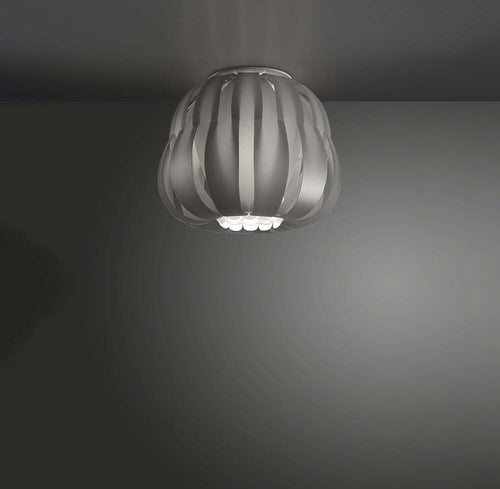Plafoniera-Moderna-1-Luce-Queen-In-Polilux-Silver-D25-Made-In-Italy