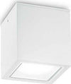 Plafoniera-Moderna-Techo-Metallo-Bianco-1-Luce-Gu10-Small