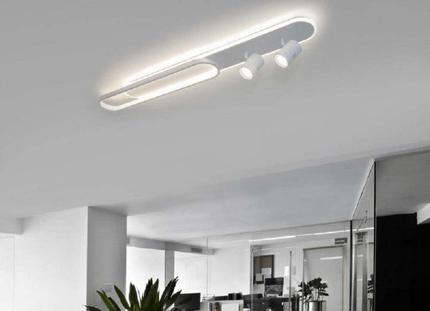 Plafoniera Soffitto Led 50w 2 Faretti Spot Orientabili Luce 6500k 4000k 3000k Pn-22b Illuminazione/Illuminazione bagno/Plafoniere Trade Shop italia - Napoli, Commerciovirtuoso.it
