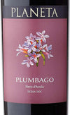 Plumbago-Planeta