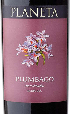 Plumbago-Planeta