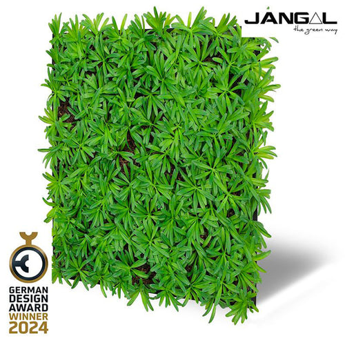 JANGAL Pannelli acustici Modulabili in FLORA sintetica ULTRAREALISTICA 52x52cm mod. PODOCARPUS TEA TREE - Eternal Parquet