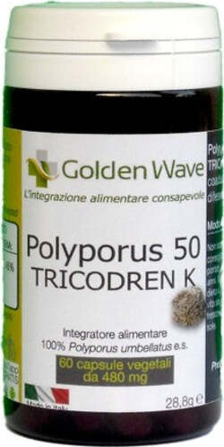POLYPORUS-50-TRICODREN-K-60-CAPSULE-Golden-Wave