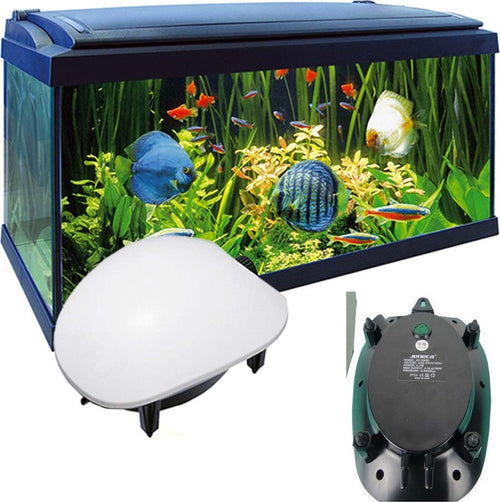 POMPA ARIA AREATORE AERATORE PER DA ACQUARIO PESCI 6,6 L/M ESTERNA 3.5 W AP-8804 Prodotti per animali domestici/Pesci e animali d'acqua/Pompe e filtri/Pompe d'acqua Trade Shop italia - Napoli, Commerciovirtuoso.it