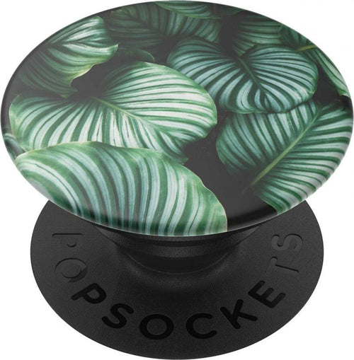 popsockets-leafy-green