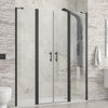 Porta Saloon H200 6mm Trasparente Profili Neri - Panex 700