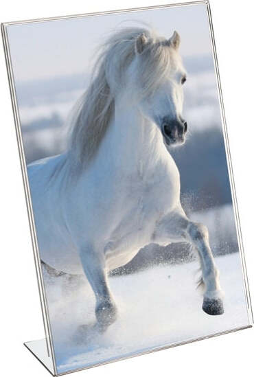 Portadepliant - materiale acrilico - 23 x 31 cm - verticale - Lebez Cancelleria e prodotti per ufficio/Archivio ufficio e accessori per scrivania/Accessori da scrivania e archiviazione/Portabrochure Eurocartuccia - Pavullo, Commerciovirtuoso.it