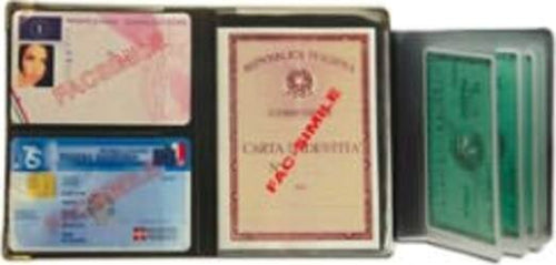 Portadocumenti - multicard special - PVC - colori assortiti 1060S- Alplast - conf. 24 pezzi Commercio Industria e Scienza/Forniture per imballaggio e spedizione/Scatole buste e tubi per spedizione/Buste per spedizione/Buste trasparenti Eurocartuccia - Pavullo, Commerciovirtuoso.it