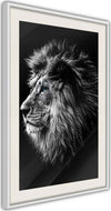 Poster-Old-King