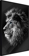 Poster-Old-King