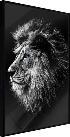 Poster-Old-King
