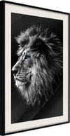 Poster-Old-King