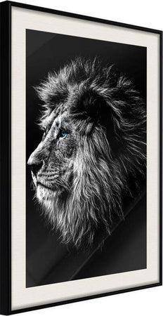 Poster-Old-King