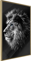 Poster-Old-King