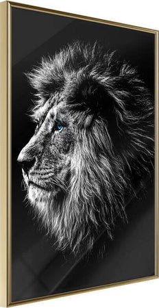 Poster-Old-King