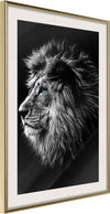 Poster-Old-King