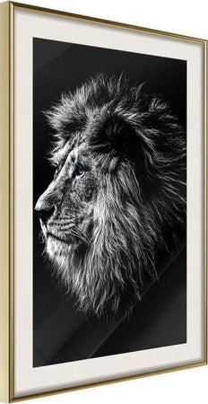 Poster-Old-King