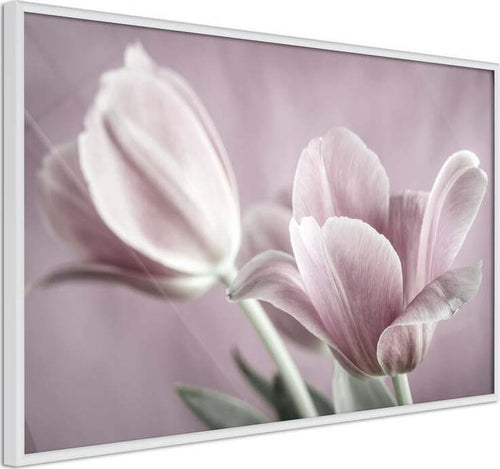 Poster-Pastel-Tulips-I