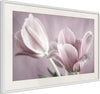 Poster-Pastel-Tulips-I