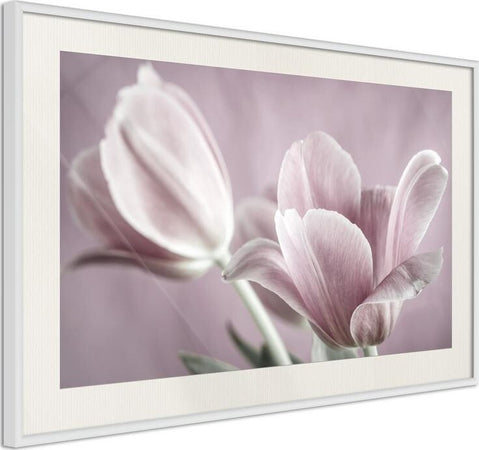 Poster-Pastel-Tulips-I