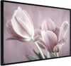 Poster-Pastel-Tulips-I