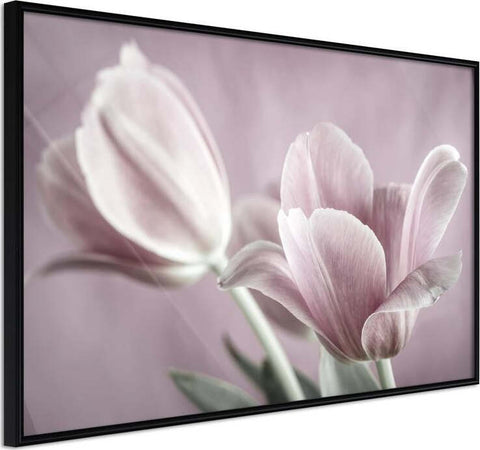 Poster-Pastel-Tulips-I