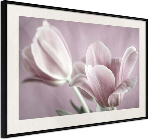Poster-Pastel-Tulips-I