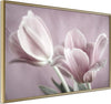 Poster-Pastel-Tulips-I