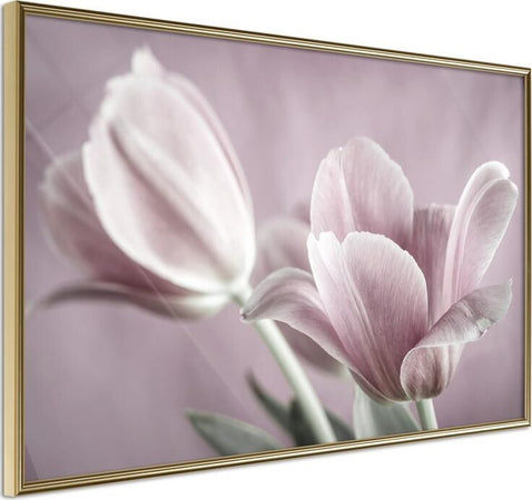 Poster-Pastel-Tulips-I