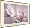 Poster-Pastel-Tulips-I