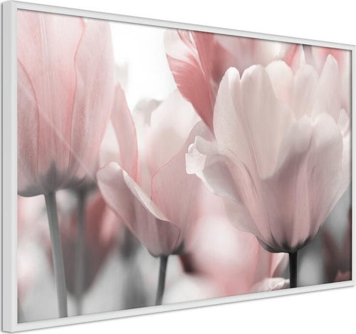 Poster-Pastel-Tulips-II