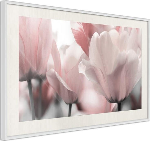Poster-Pastel-Tulips-II