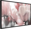 Poster-Pastel-Tulips-II