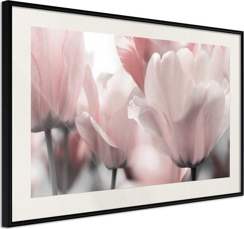 Poster-Pastel-Tulips-II