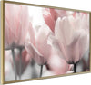 Poster-Pastel-Tulips-II