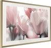 Poster-Pastel-Tulips-II