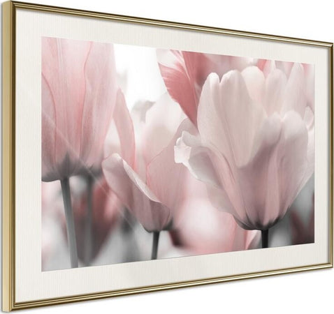Poster-Pastel-Tulips-II