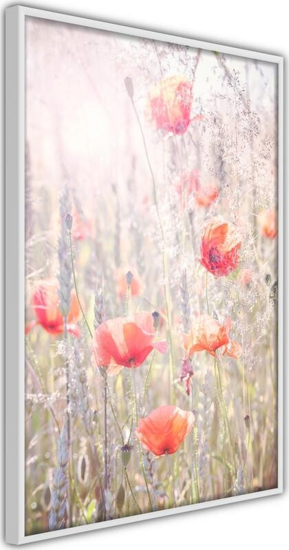 Poster-Poppies