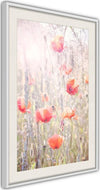 Poster-Poppies
